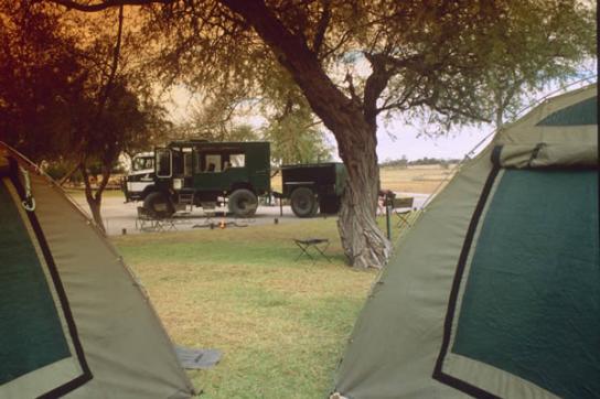 Drifters Maun Camp: Safarizelte und Safari Truck im Hintergrund