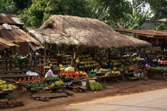 Frucht und Gemüsemarkt in Entebe
