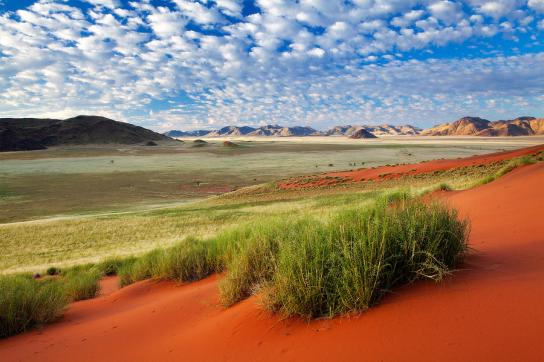 Panorama der Namib Wüste in Namibia mit rotem Sand und Bergen am Horizont
