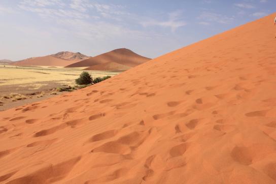 Sanddüne in der Namib Wüste