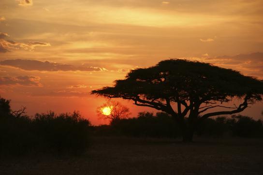 Sonnenuntergang über dem afrikanischen Busch und dem Limpopo Fluss