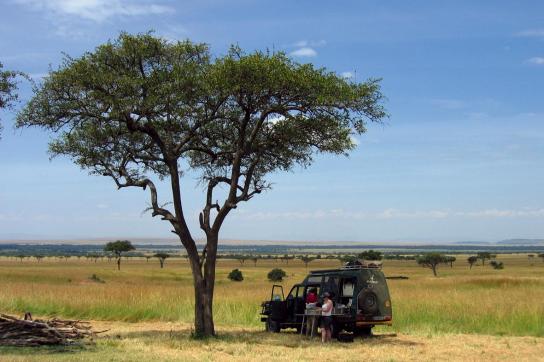 Auf dem Weg zum Victoria See: Halt in der afrikanischen Steppe unter einem prachtvollen Baum