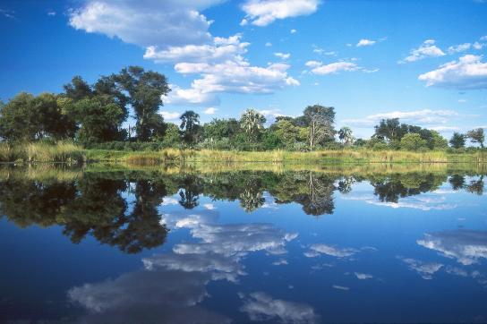 Okavango Delta, ein Höhepunkt jeder Erlebnisreise durch Botswana