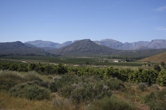 Panorama Namaqualand