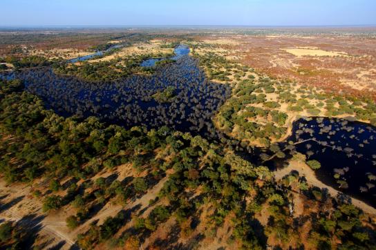 Panorama des Okavango Delta aus der Vogelperspektive / Birds Eye