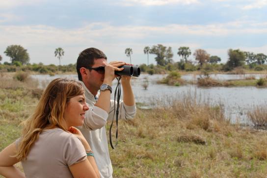 Tierbeobachtungen während der Rundreise im einmaligen Okavango Delta