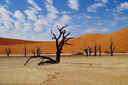 Dead Vlei im Sossusvlei Namibia: Abgestorbene Bäume in der bizarren Wüstenlandschaft der Namib Wüste