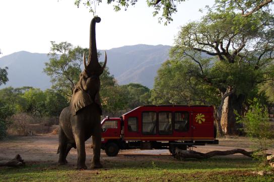 Sunways Safari Truck neben Elefanten auf einer Camping Safari durch das südliche Afrikac