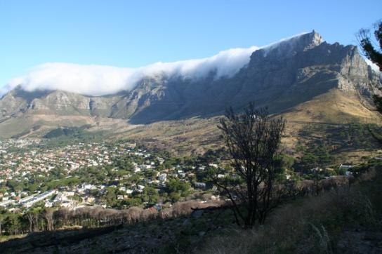 Blick auf den Tafelberg Kapstadts, welcher an der Spitze in Wolken hängt
