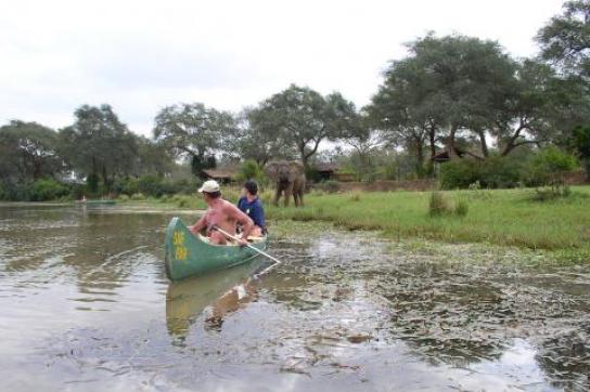 Kanufahrt auf dem Sambesi, Elefanten im Hintergrund