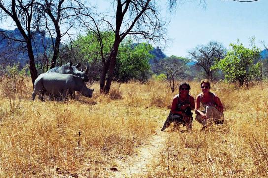 Reisende vor zwei Nashörnern im Zululand
