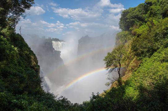 Regebogen über den Victorialfällen in Simbabwe