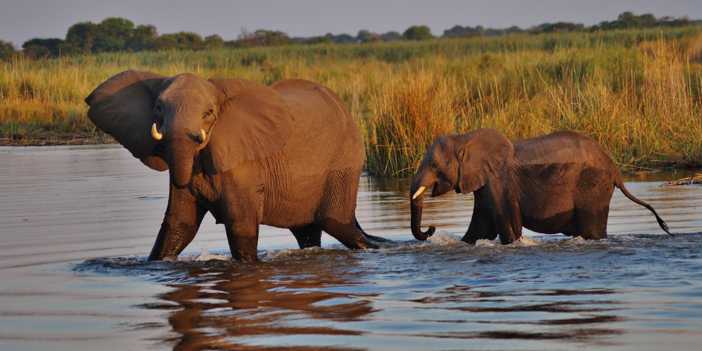 Botswana Wildparks
